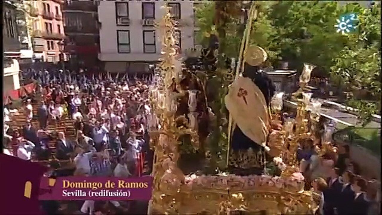 La Borriquita en Campana 2014