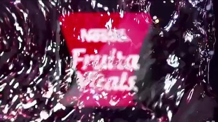 Cats Being Jerks Video Compilation