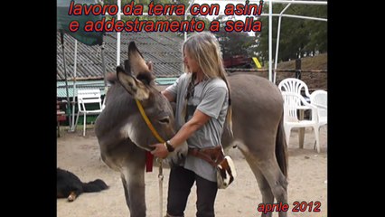 Lavoro da terra con asini e addestramento a sella.mp4
