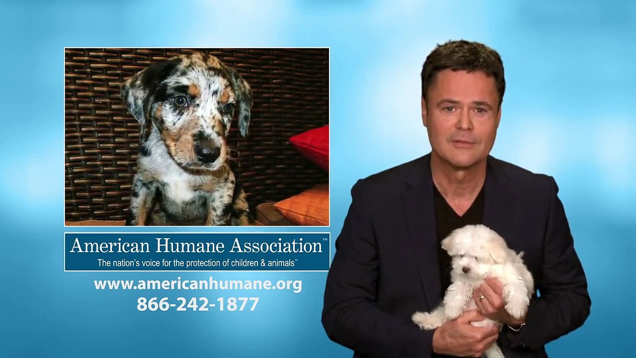 Donny Osmond AHA PSA #2