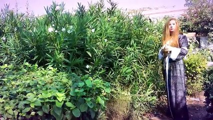 Serhat Evindar - Yar Şêrine