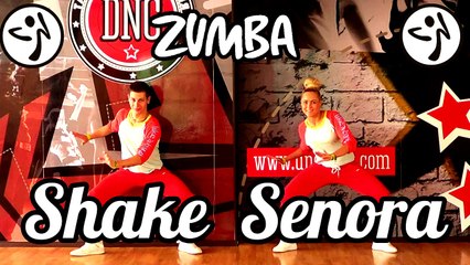 Zumba Fitness - Jump in the Line by Pitbull feat. T-Pain & Sean Paul