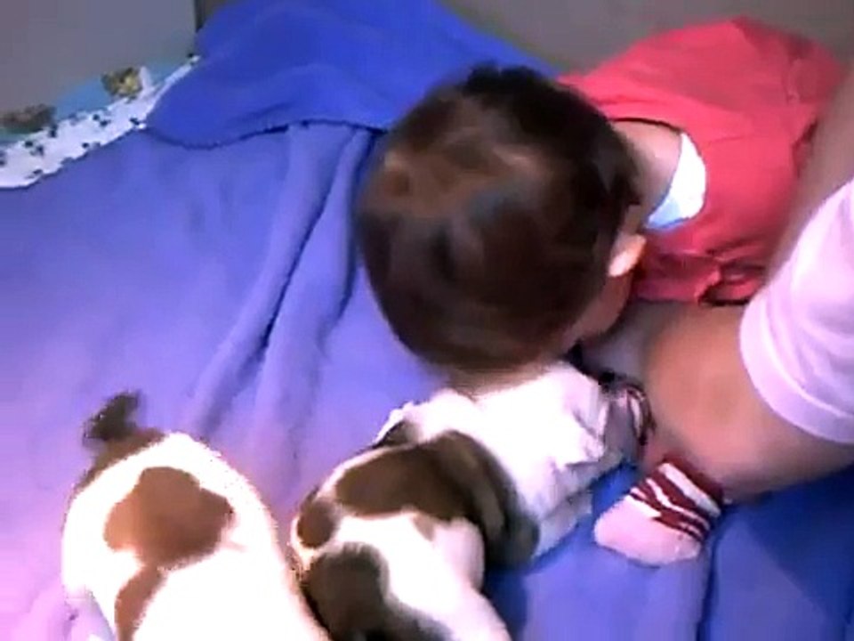 bébé bouledogue anglais et lilly-rose