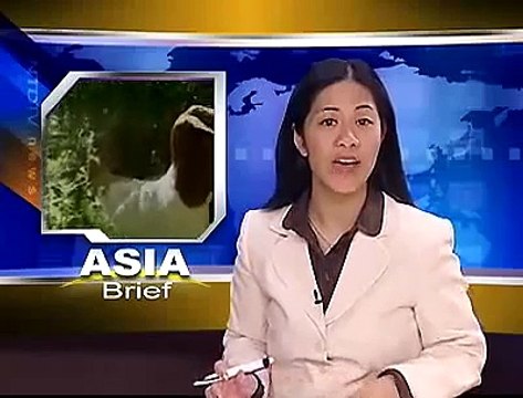 Firefighting Goats are Reducing Wildfires