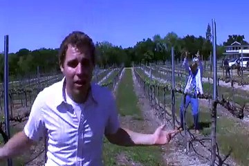 nsync It's gonna be me