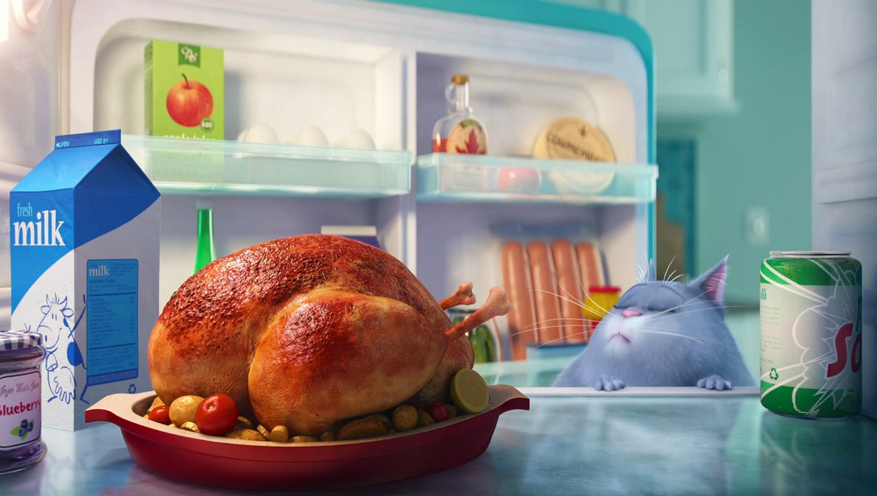 COMME DES BÊTES (THE SECRET LIFE OF PETS) - Bande-Annonce Teaser [VOSTF|HD1080p]