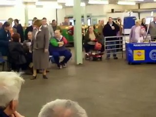 manchester  bull terrier ch show 2007