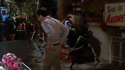 Little Shop Of Horrors - Feed Me (Git It)