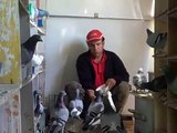 Pigeons voyageurs de bonne origine NL et Belge,leur jeune sont classé premier AU MAROC,A CAMOUNI