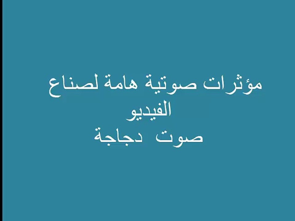 دجاجة