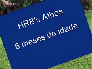 HRB's Athos