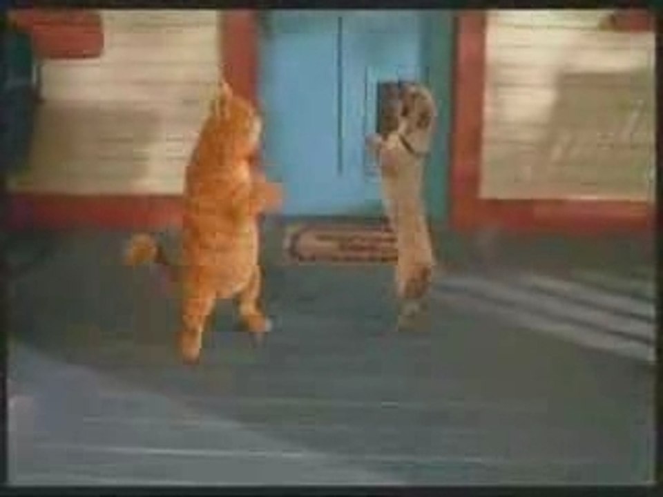 Dancing cat