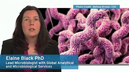 Ecolab Experts on Microbes - Campylobacter