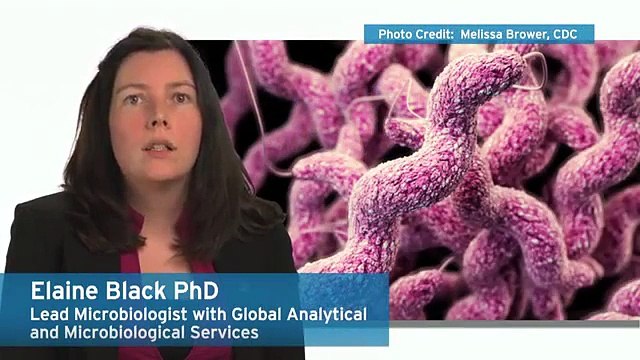 Ecolab Experts on Microbes - Campylobacter