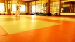 Shotokan Karate Grading Syllabus 5th Kyu to 4th Kyu