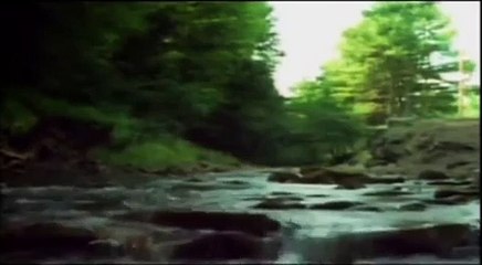 Tales from the Darkside Intro & End Titles