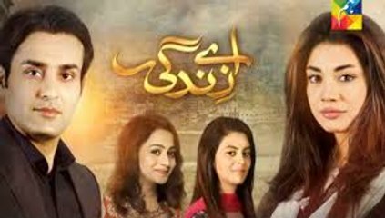 Aye Zindagi Episode 15 Full HUM TV Drama 18 June 2015