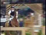 Horses-Jumping and Dressage