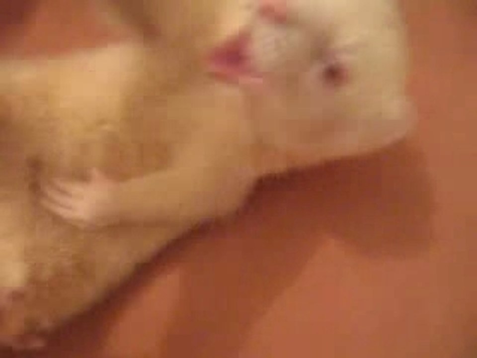 Exciting poupout project