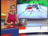 Ministra de Salud señala que existen  más de 50 mil contagiados con dengue y chikungunya