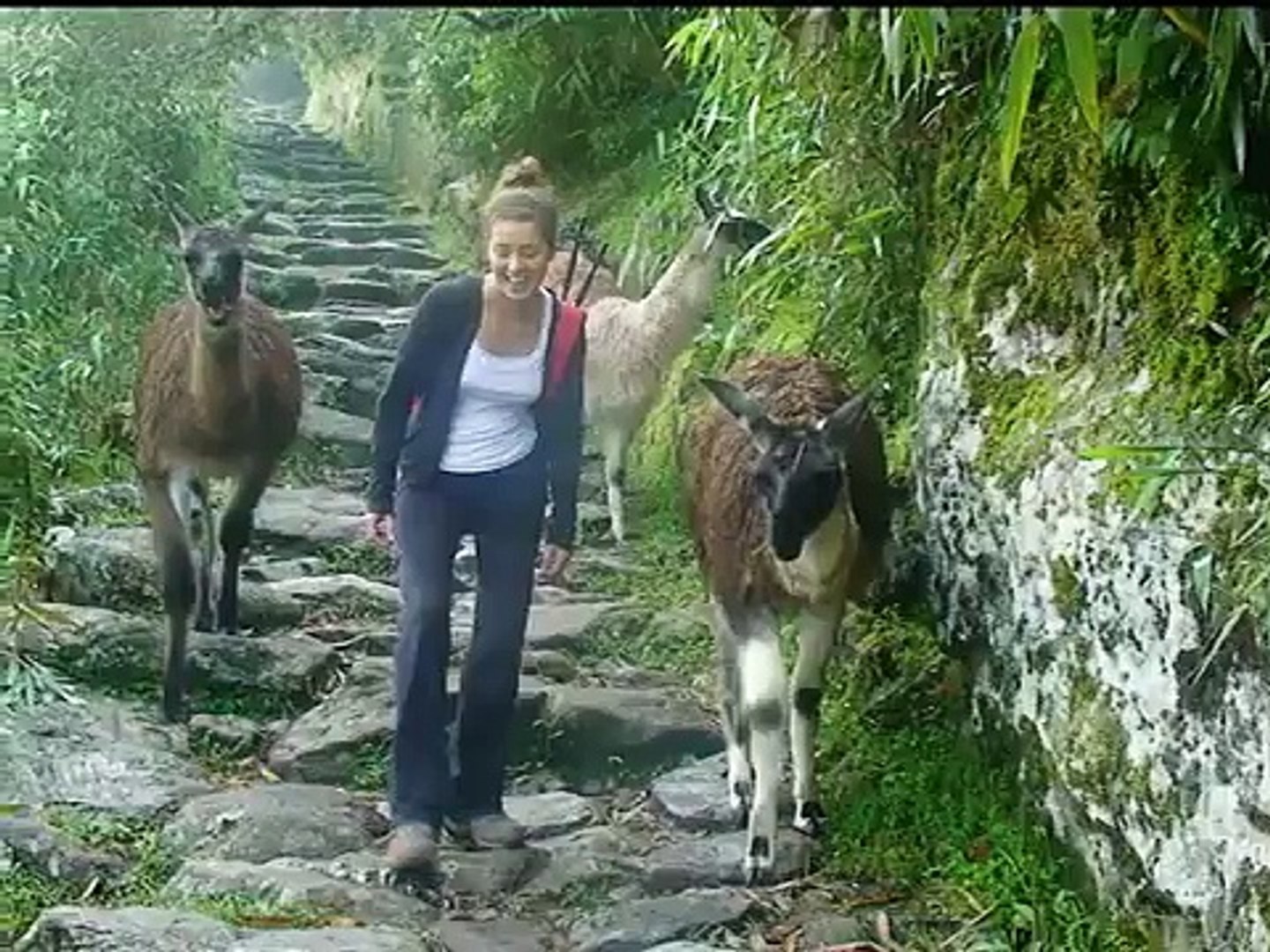 Girls and Llamas in Machu Picchu - Chicas y Llamas en Machu Picchu