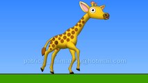 Cartoon Giraffe Run Cycle and Head Turn Modified, Anime Studio Pro