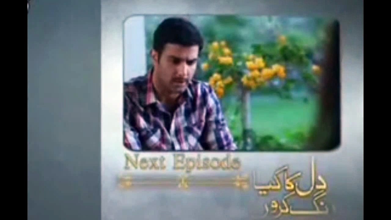 Dil Ka Kya Rung Karun next Episode16 Promo on HUM TV 12 June 2015