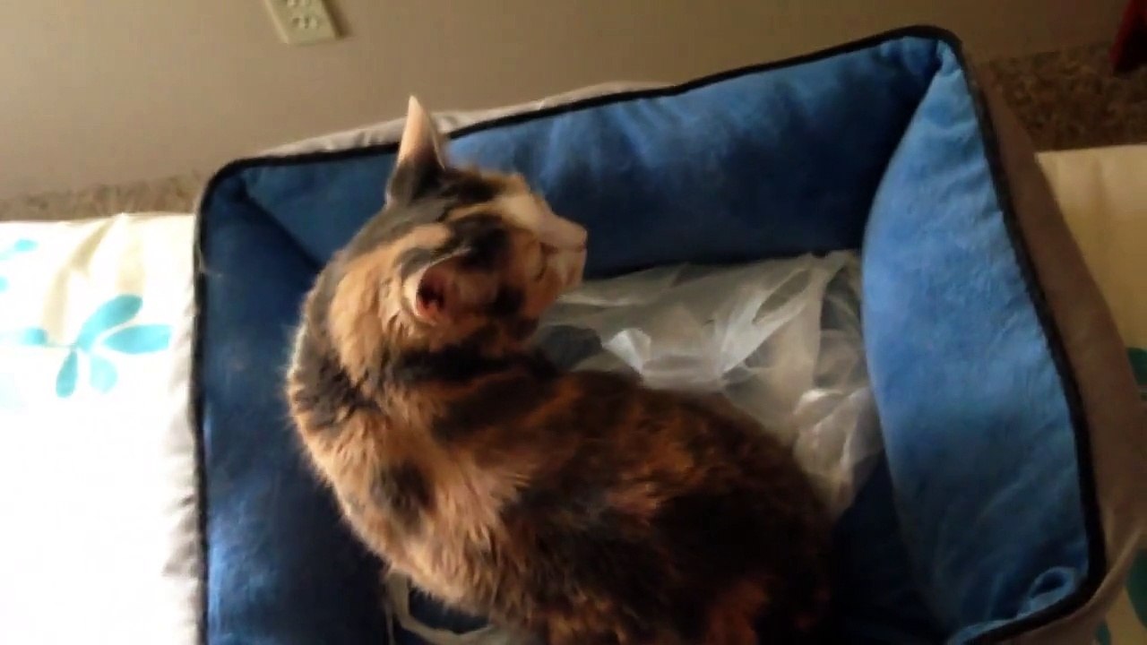 K&H Self-Warming Lounge Sleeper Pet Bed