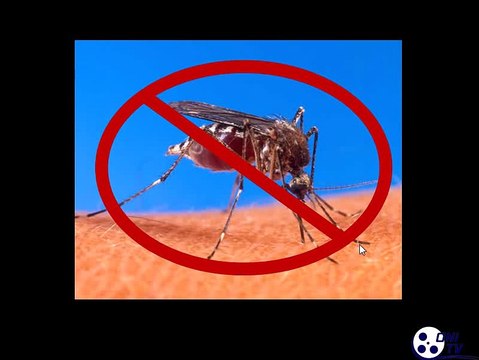 Anti Zancudos Sonido Anti Mosquitos (Mejorado) Mosquito Repellent Sound