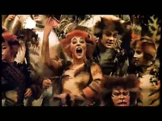 CATS the Musical in 50 seconds.
