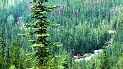 Awesome Hotel- Fairmont Chateau Lake Louise hotel, Alberta, Canada