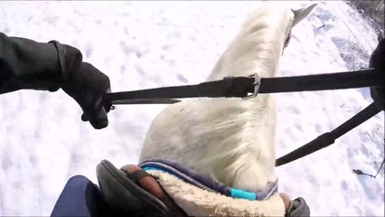 GoPro horse riding