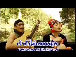 สาวดอย 4x4 คาราบาว