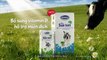 Clip quảng cáo TVC Thương hiệu sữa tươi Vinamilk con bò trên đồng cỏ vui nhộn 2014