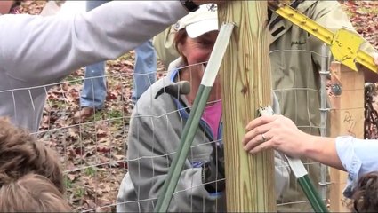 Coalition to Unchain Dogs - She-She