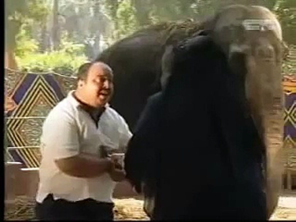 الفيل