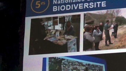 Biodiversité : Guy Férez annonce l'abandon du projet d'aire de grand passage au moulin rouge