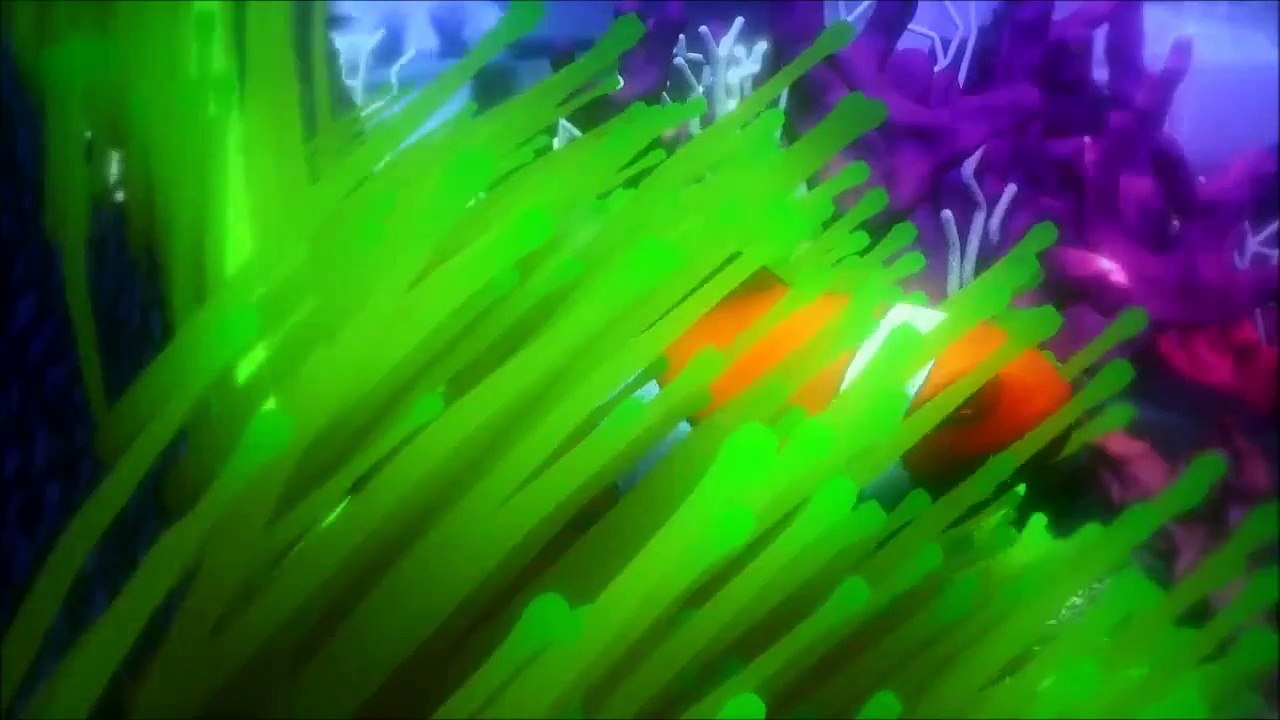 TROPICAL FISH AQUARIUM ANIMATION