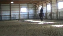 Mystyleoftherapy - 09' AQHA All Around Gelding by Therapy