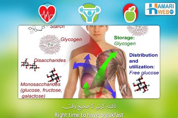 6 Rules of Eating Health Breakfast
