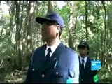 JAPAN - Aokigahara, the forest of suicides