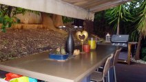 A louer - Appartement - Nice (06200) - 30m²