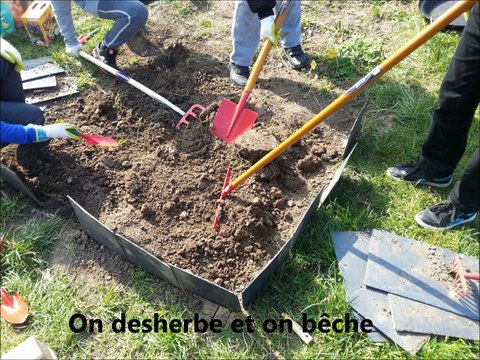 Label BiodiverCités - Présentation du collègue Balzac de Neuilly-sur-Marne