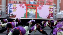 การแสดงSoran Bushi DOKKOISHO - Japanese Bon Dance