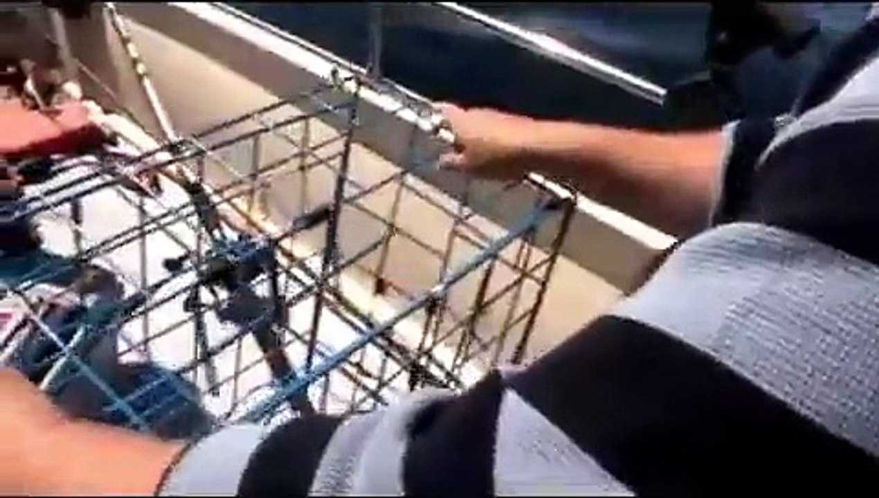 Fishing and Crabbing in Campbell River