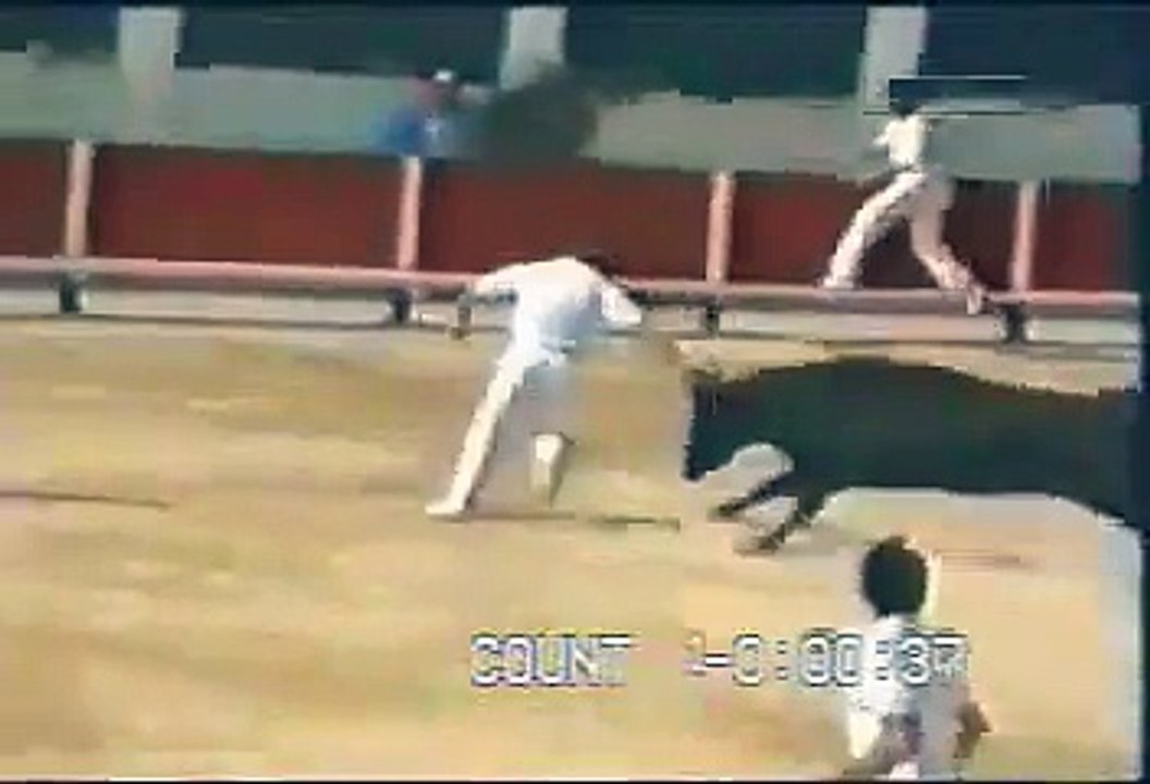 Il se prend une corne dans le derrière Vidéo Dailymotion