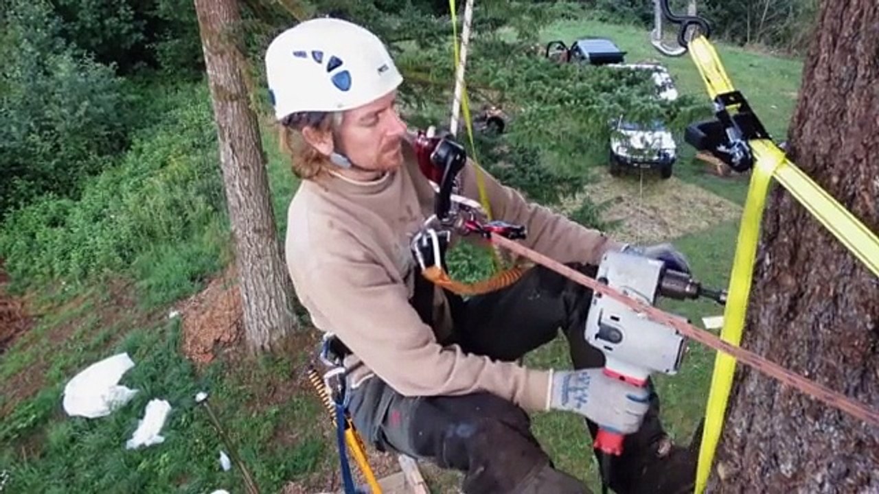 Skatepark dans une foret