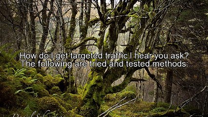 How To Get Targeted Traffic To Your Website!