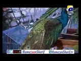 Ramazan Sharif PROMO 2 With Dr Aamir Liaquat Hussaun GEO TV 2015 - رمضان شریف