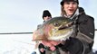 Hair Jigs for Ice Trout - Uncut Angling - March 20, 2014